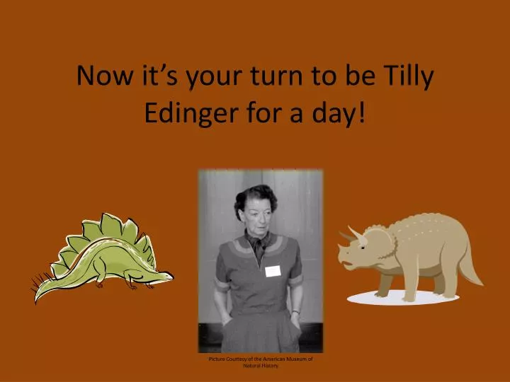 now it s your turn to be tilly edinger for a day