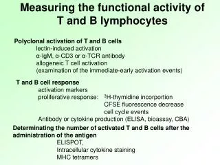 Measuring the functional activity of T and B lymphocytes