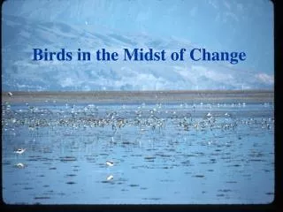 Birds in the Midst of Change