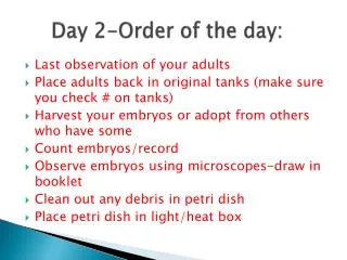 Day 2-Order of the day: