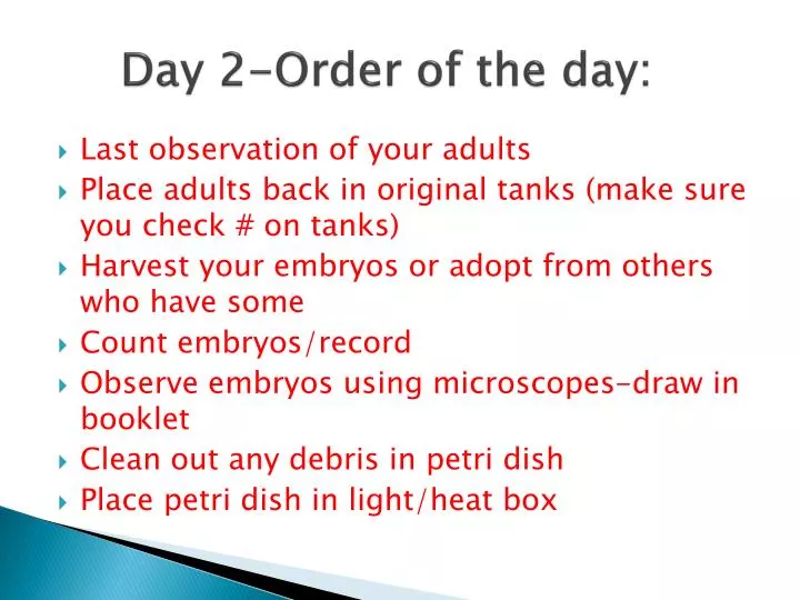 day 2 order of the day