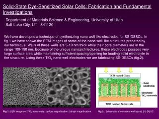 Solid-State Dye-Sensitized Solar Cells: Fabrication and Fundamental Investigations
