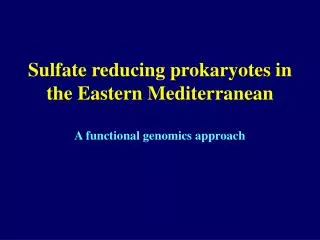 Sulfate reducing prokaryotes in the Eastern Mediterranean A functional genomics approach