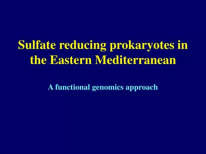 sulfate reducing prokaryotes in the eastern mediterranean a functional genomics approach