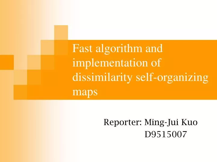 fast algorithm and implementation of dissimilarity self organizing maps