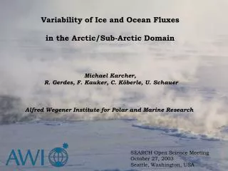 Variability of Ice and Ocean Fluxes in the Arctic/Sub-Arctic Domain Michael Karcher,