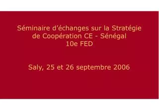 s minaire d changes sur la strat gie de coop ration ce s n gal 10e fed