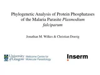 Phylogenetic Analysis of Protein Phosphatases of the Malaria Parasite Plasmodium falciparum
