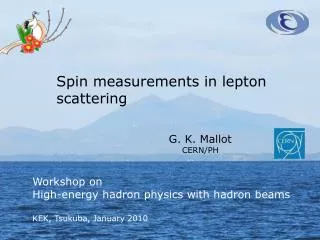 Spin measurements in lepton scattering