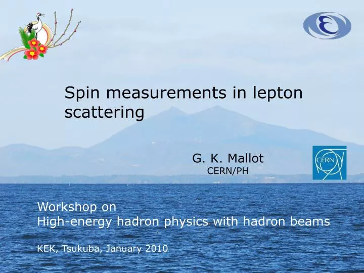 spin measurements in lepton scattering