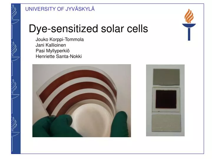 dye sensitized solar cells
