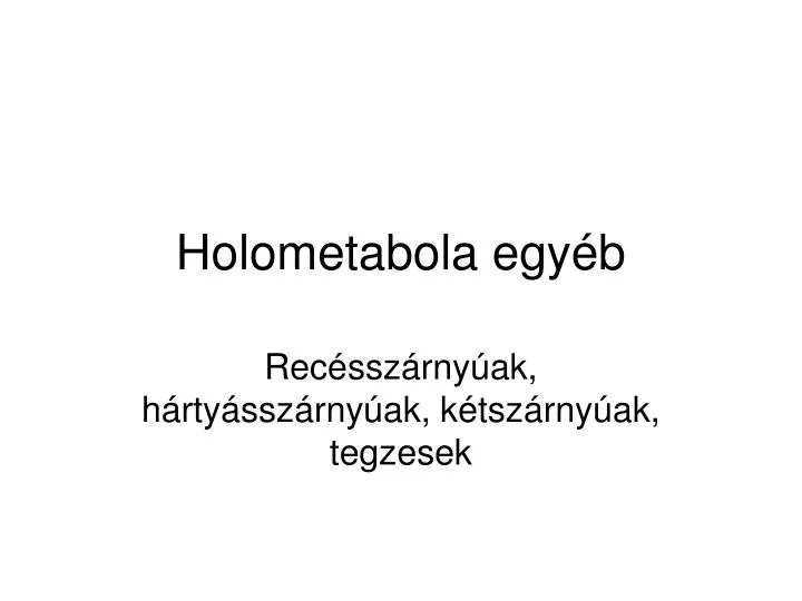 holometabola egy b