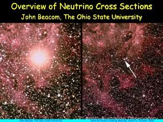 Overview of Neutrino Cross Sections