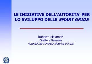 le iniziative dell autorita per lo sviluppo delle smart grids