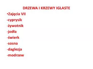 drzewa i krzewy iglaste zaj cia vii cyprysik ywotnik j od a wierk sosna d aglezja modrzew
