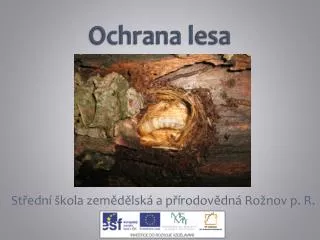 ochrana lesa