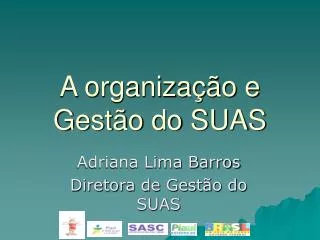 a organiza o e gest o do suas