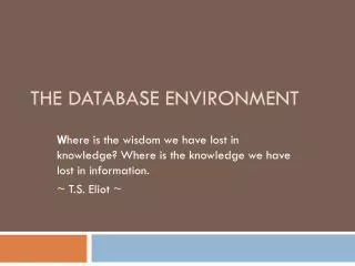 The Database Environment