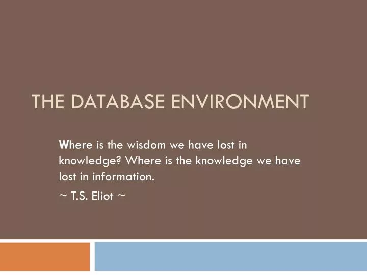 the database environment