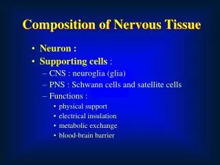 Neuron : Supporting cells : CNS : neuroglia (glia) PNS : Schwann cells and satellite cells