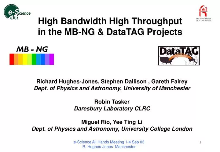 high bandwidth high throughput in the mb ng datatag projects