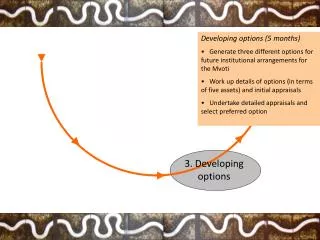 3. Developing options