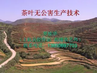 13850697703