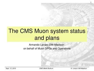 The CMS Muon system status and plans