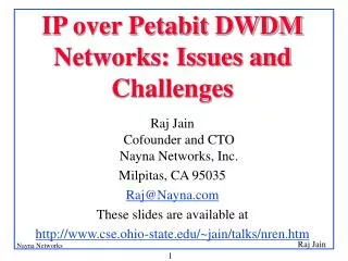 IP over Petabit DWDM Networks: Issues and Challenges