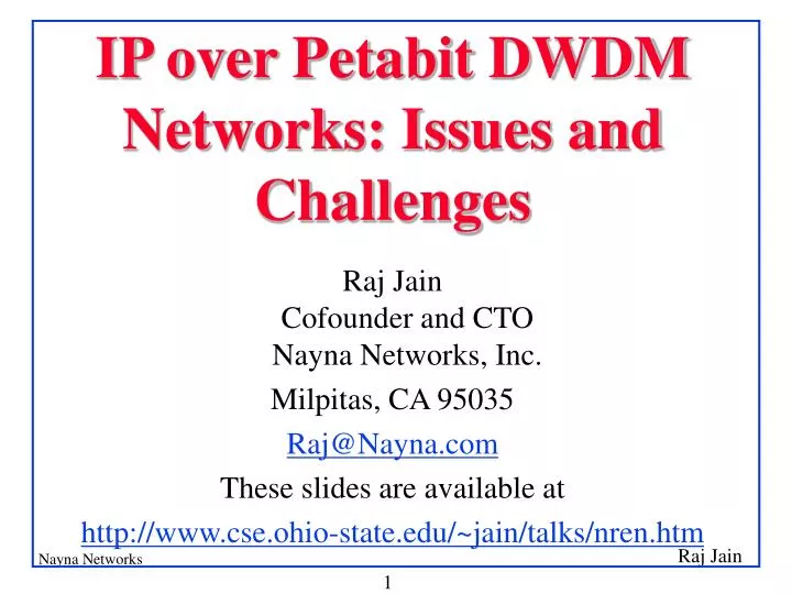 ip over petabit dwdm networks issues and challenges
