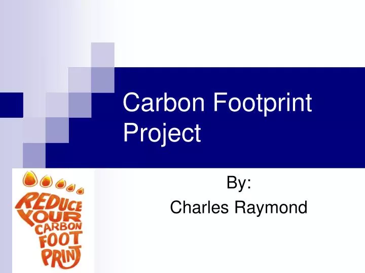 carbon footprint project