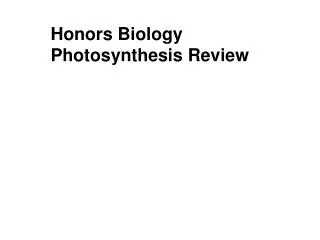 Honors Biology Photosynthesis Review