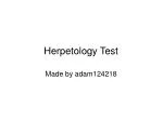 Herpetology Test - slide 1