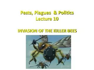 Pests, Plagues &amp; Politics Lecture 10 INVASION OF THE KILLER BEES