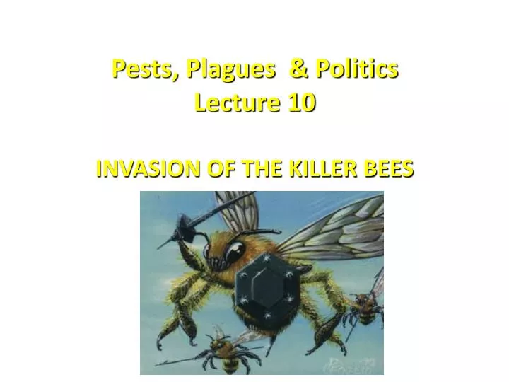 pests plagues politics lecture 10 invasion of the killer bees