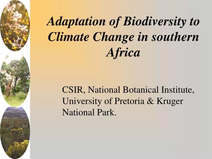 adaptation of biodiversity to climate change in southern africa