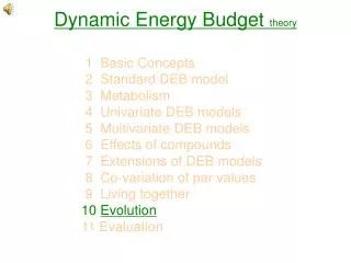 Dynamic Energy Budget theory