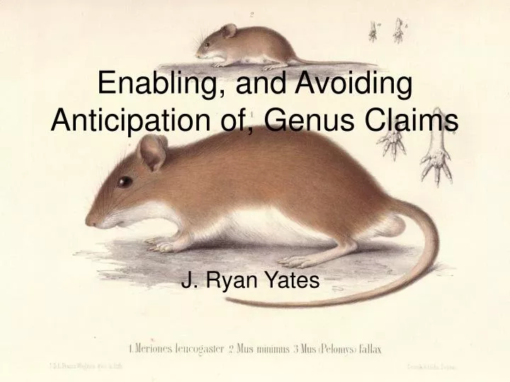 enabling and avoiding anticipation of genus claims