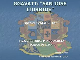 ggavatt san jose iturbide