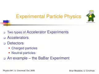 Experimental Particle Physics