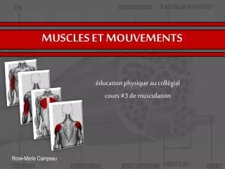 muscles et mouvements