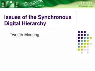 Issues of the Synchronous Digital Hierarchy