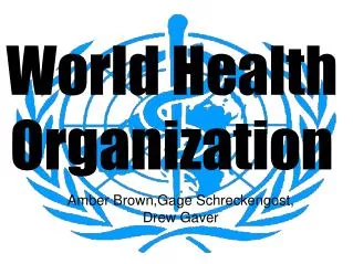 World Health Organization