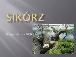 sik rz