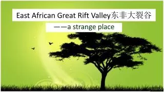 East African Great Rift Valley ?????