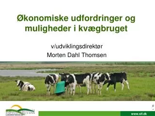 konomiske udfordringer og muligheder i kv gbruget