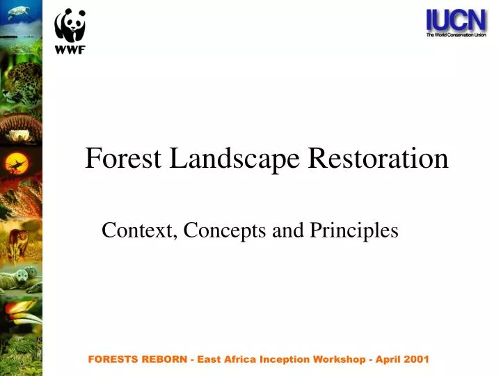 forest landscape restoration