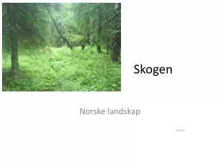 skogen