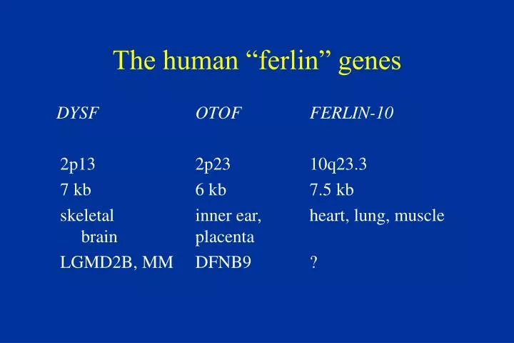the human ferlin genes