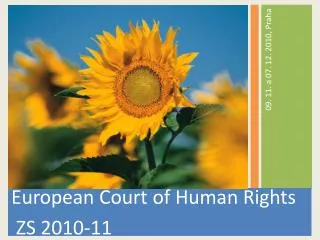 European Court of Human Rights ZS 2010-11